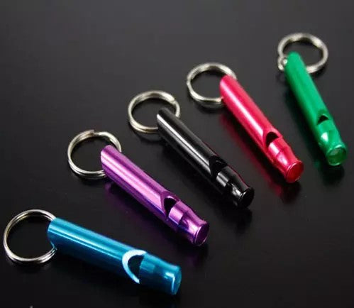 Emergency whistle keychain Ivy and Pearl Boutique
