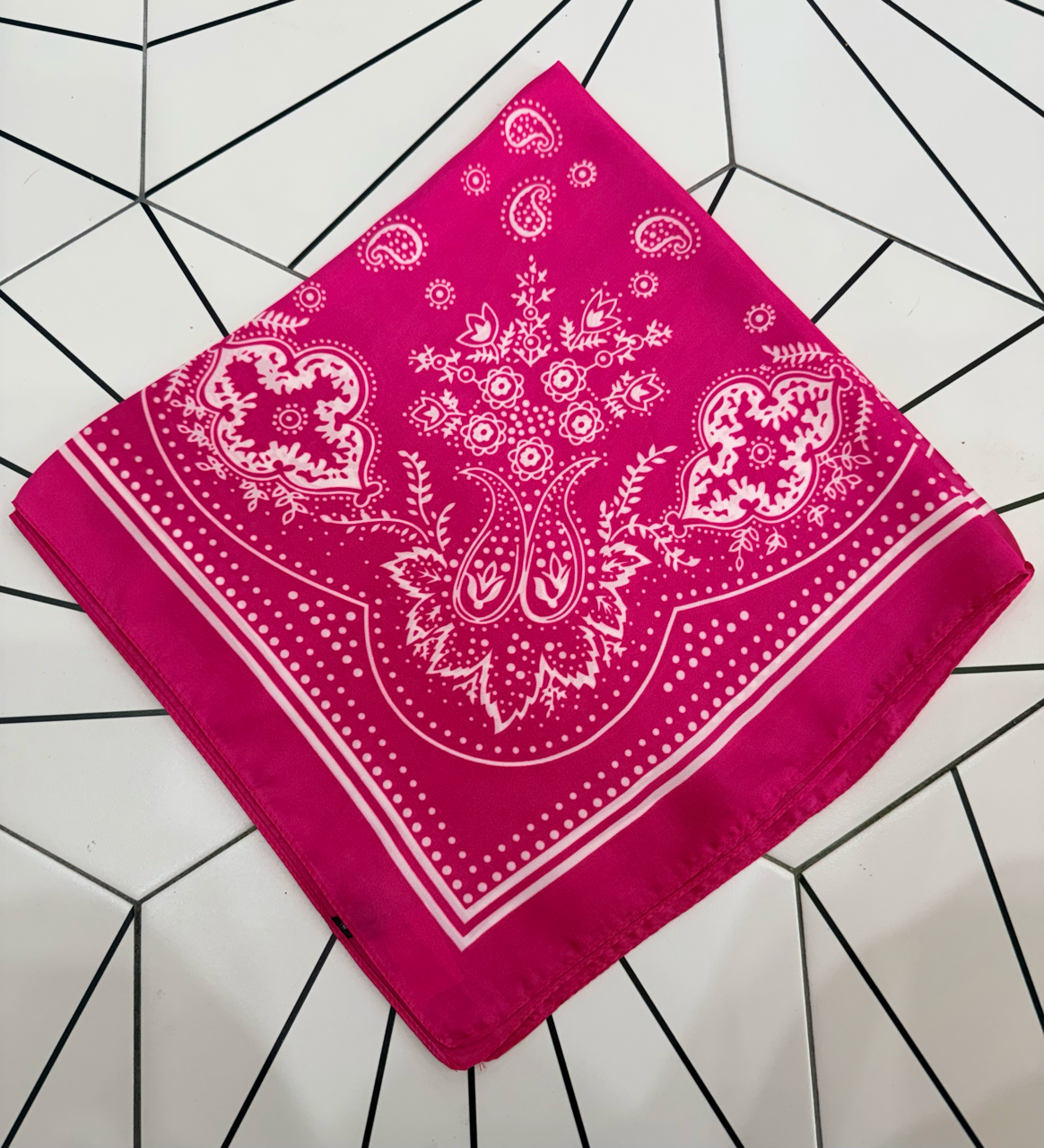 Wild rags bandannas