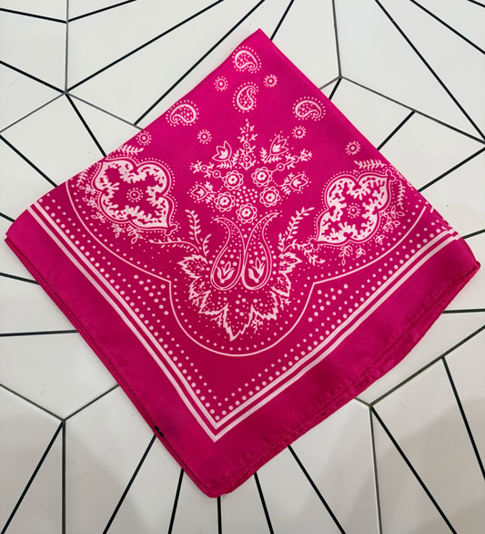 Wild rags bandannas