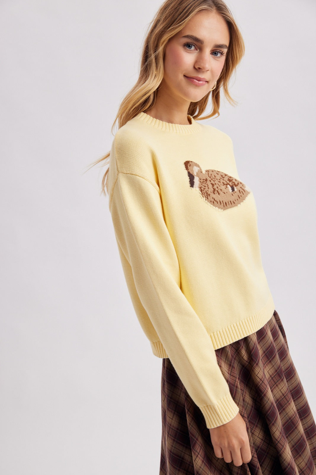 Duck graphic crew neck sweater with ribbed trim and drop shoulders