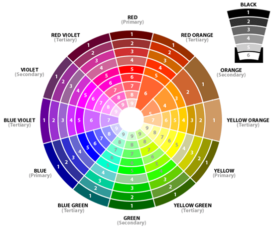 The color wheel with numbered shades