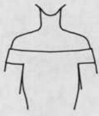 Off-the-shoulder or Off-shoulder neckline