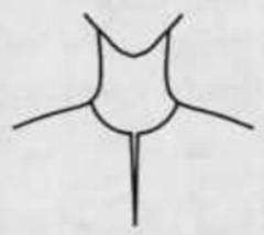 Slit neckline
