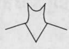 V-neckline